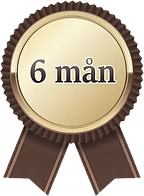 6 månader