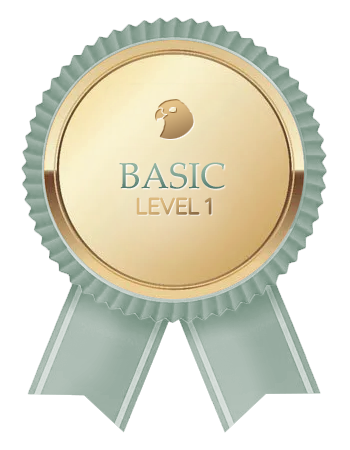 Basic Level 1