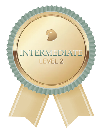 Intermediate Level 2
